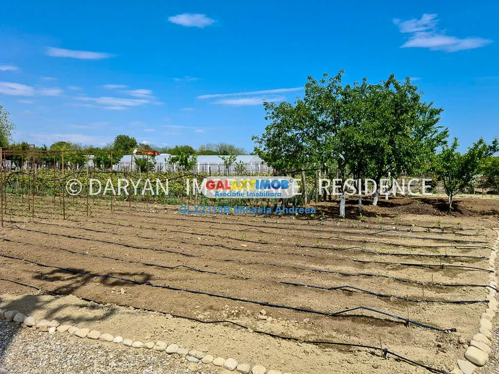 Teren in Poienari Apostoli, 21 E/mp, Avantajos, DN1, 34.500 euro - foto 13
