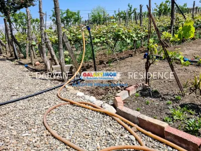 Teren in Poienari Apostoli, 21 E/mp, Avantajos, DN1, 34.500 euro - foto 9