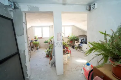 Casa in Rogerius cu spatiu comercial si 3 unitati separate - foto 13