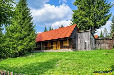 3D&FILM! Casa de vacanta rustica, panorama superba,Santimbru Bai,Harghita - foto 2