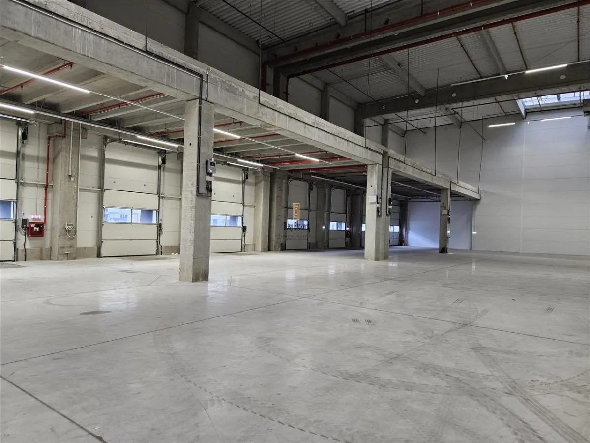 Spatiu Industrial - 6800 mp - Logistica - Productie - Depozitare - Distributie - foto 12