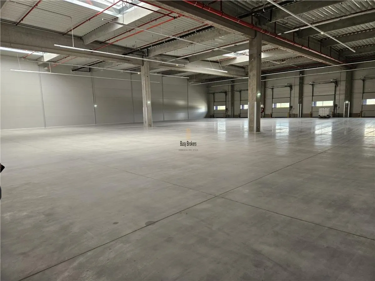 Spatiu Industrial - 6800 mp - Logistica - Productie - Depozitare - Distributie - foto 19