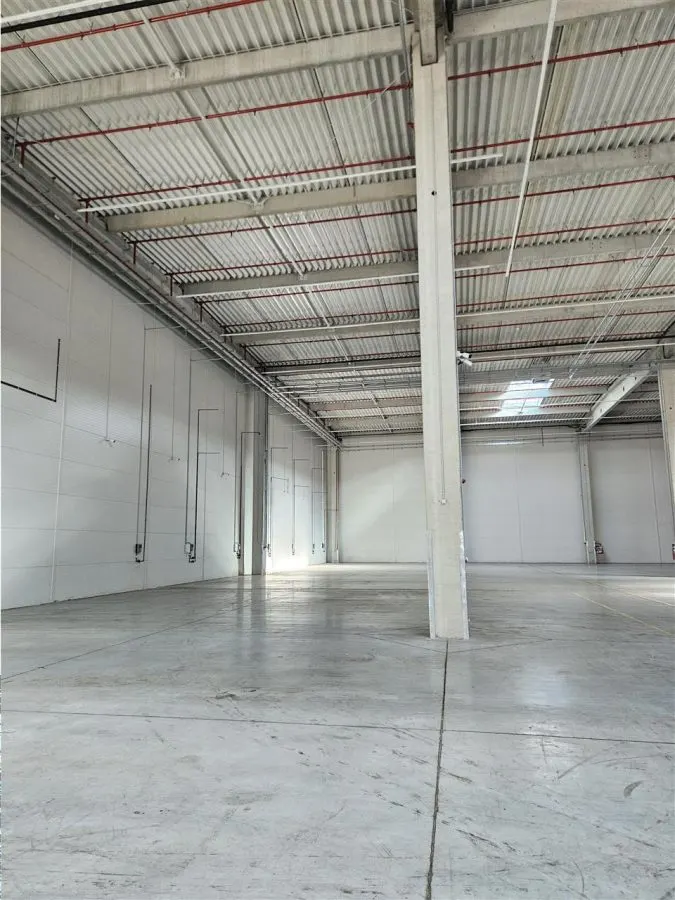 Spatiu Industrial - 6800 mp - Logistica - Productie - Depozitare - Distributie - foto 3