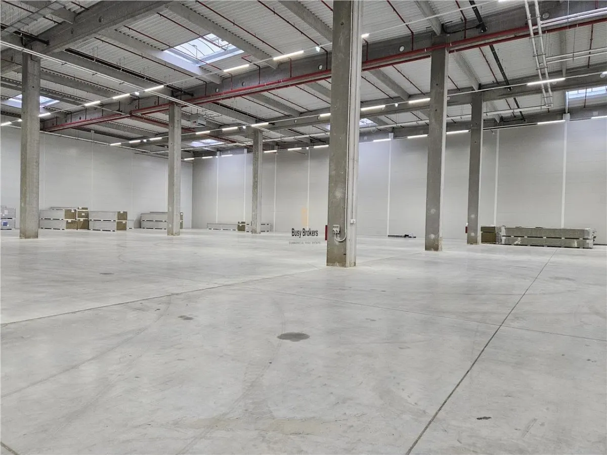 Spatiu Industrial - 6800 mp - Logistica - Productie - Depozitare - Distributie - foto 5