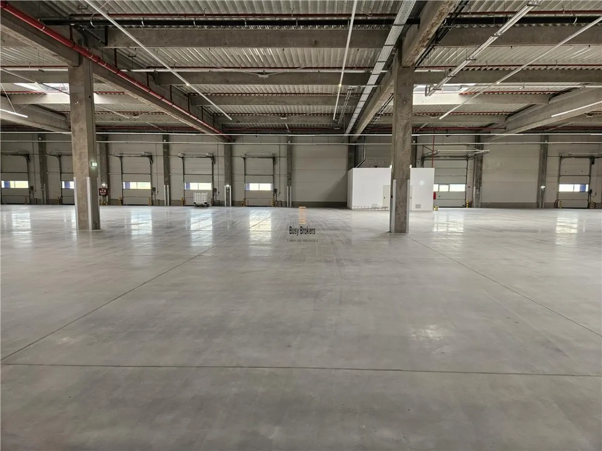 Spatiu Industrial - 6800 mp - Logistica - Productie - Depozitare - Distributie - foto 7