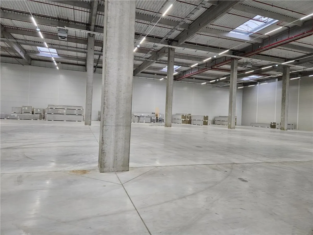 Spatiu Industrial - 6800 mp - Logistica - Productie - Depozitare - Distributie - foto 8