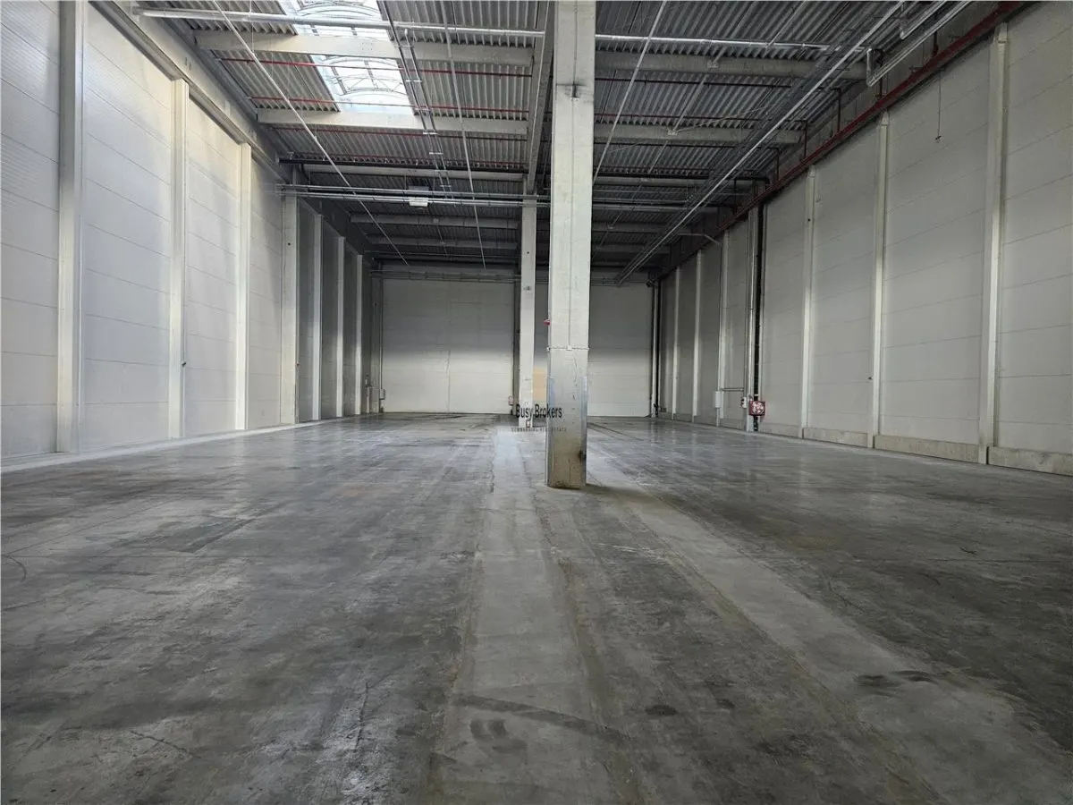 Spatiu Industrial - 2500 mp - Logistica - Productie - Depozitare - Distributie - foto 11