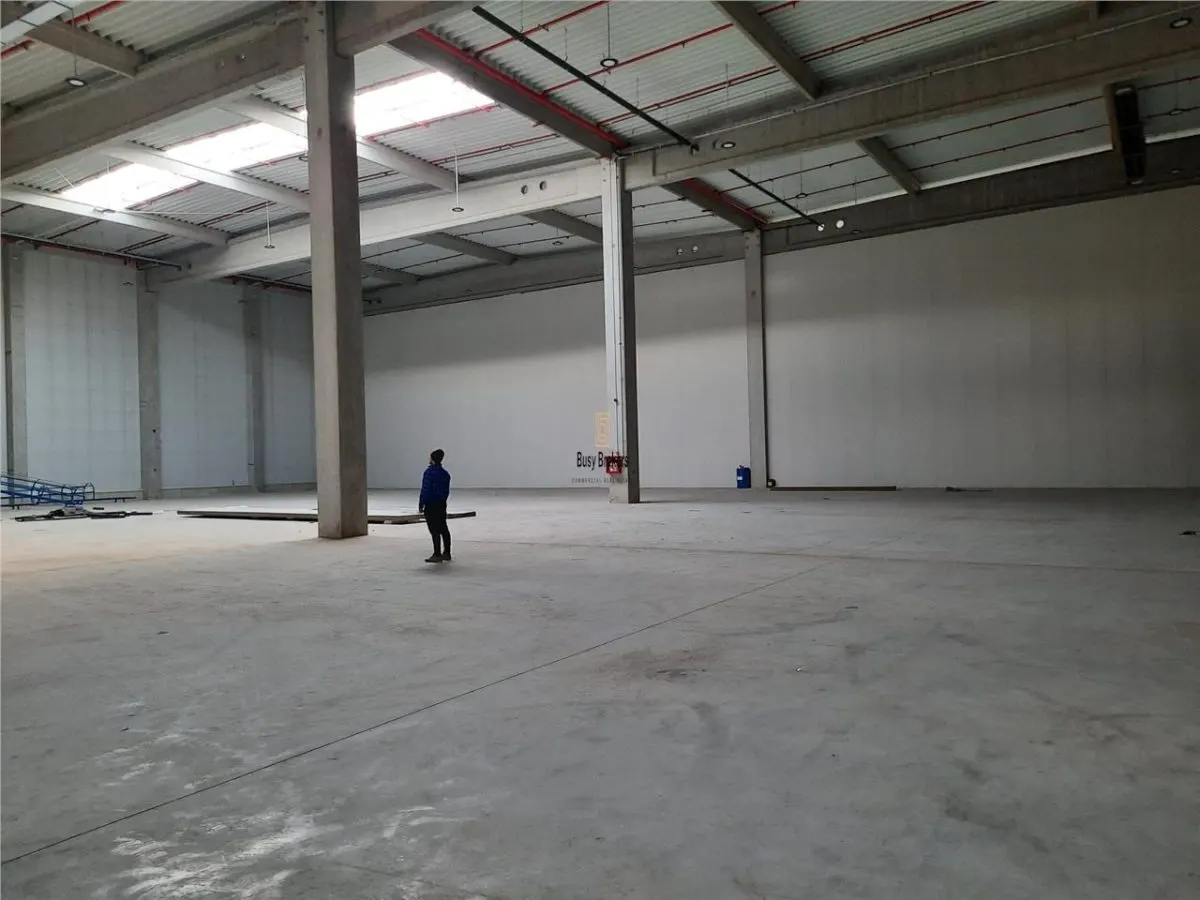 Spatiu Industrial - 2500 mp - Logistica - Productie - Depozitare - Distributie - foto 16