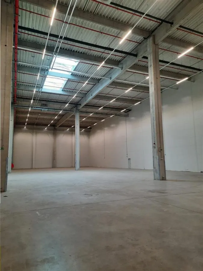 Spatiu Industrial - 2500 mp - Logistica - Productie - Depozitare - Distributie - foto 8