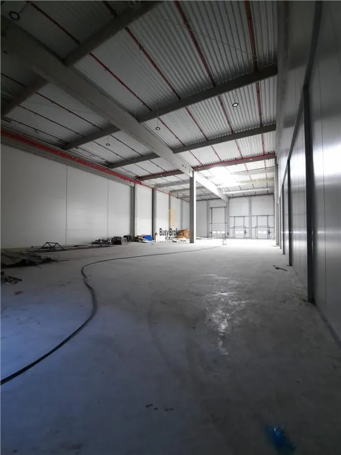 Spatiu Industrial - 2500 mp - Logistica - Productie - Depozitare - Distributie - foto 10