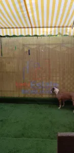 Apartament 2 camere Tatarasi - foto 15