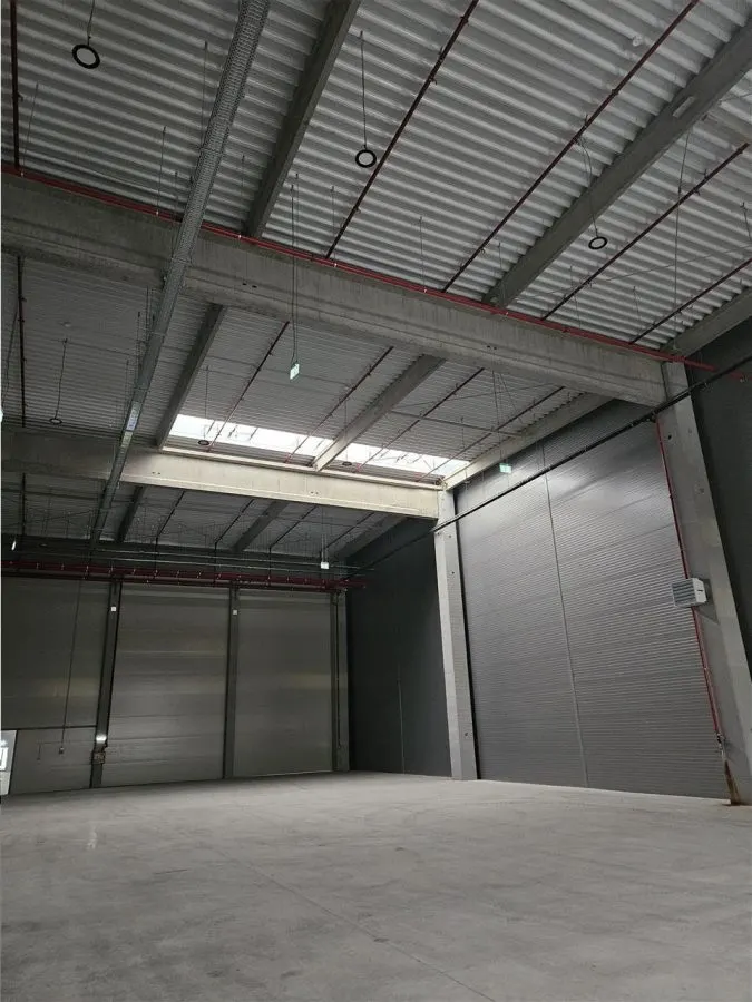 Spatii Industriale - 2700 mp - Logistica - Productie - Depozitare - foto 4