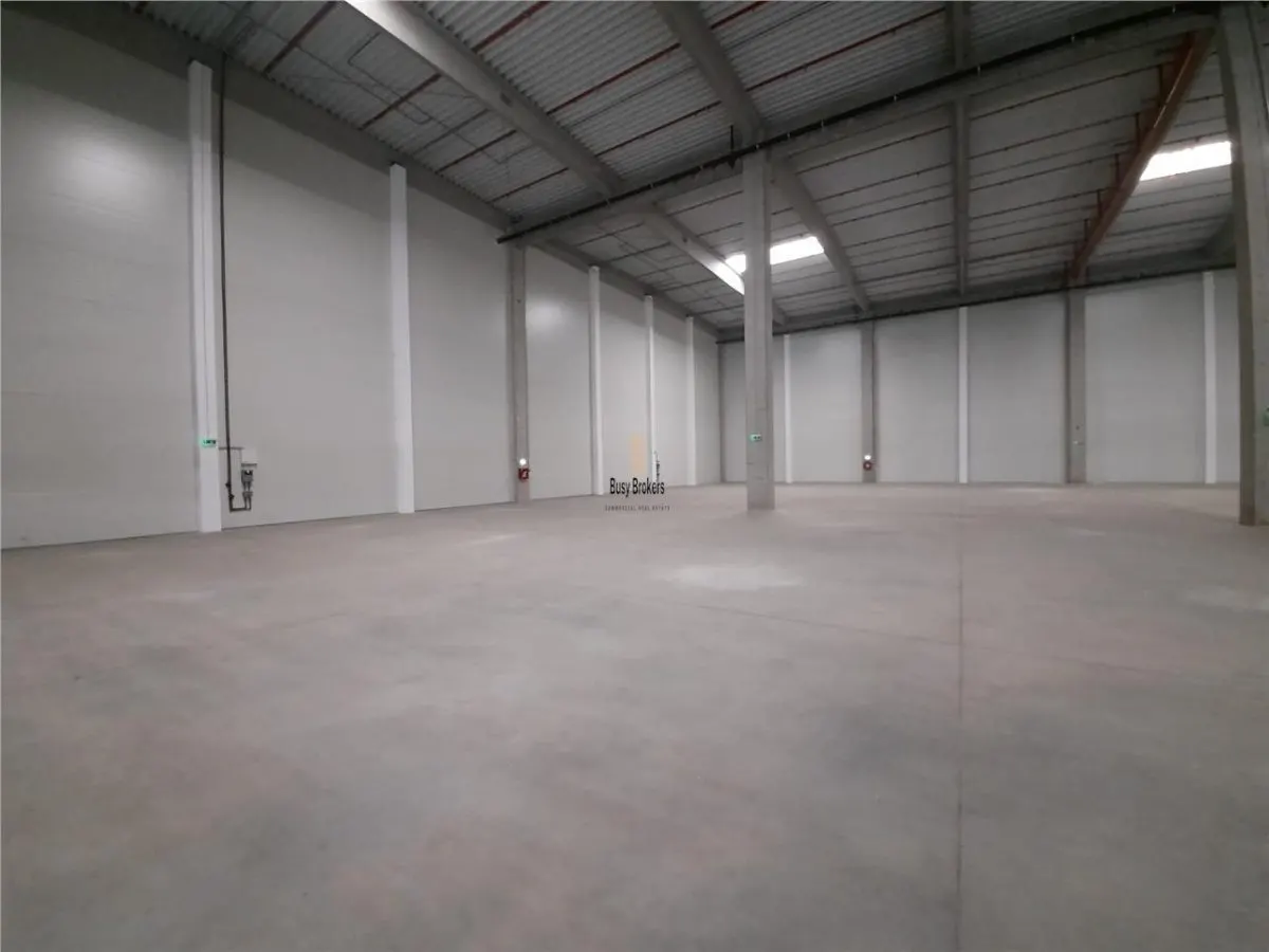 Spatiu Industrial - 3000 mp - Logistica - Productie - Depozitare - Distributie - foto 13