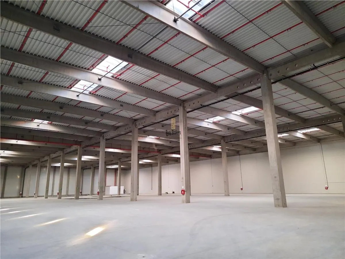 Spatiu Industrial - 3000 mp - Logistica - Productie - Depozitare - Distributie - foto 3