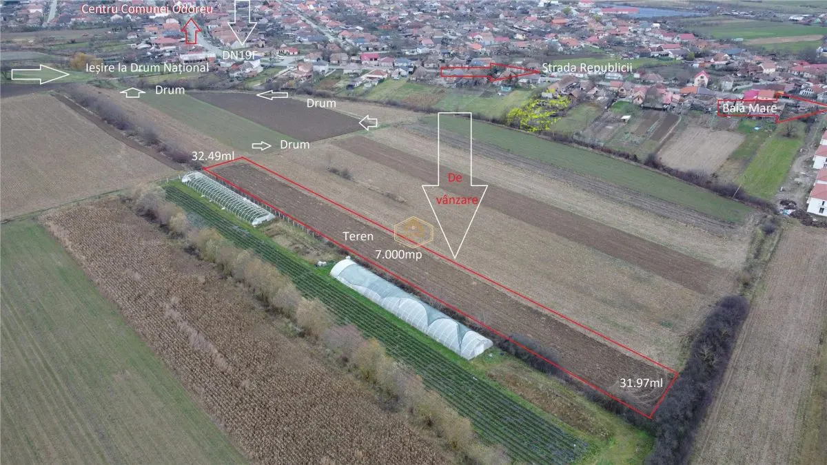 Teren Extravilan - 7.000 mp in centrul comunei Odoreu - foto 1