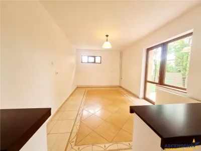 Vila impetuoasa pe 700mp teren:Spatiu versatil pentru locuinta/afacere Premium - foto 8