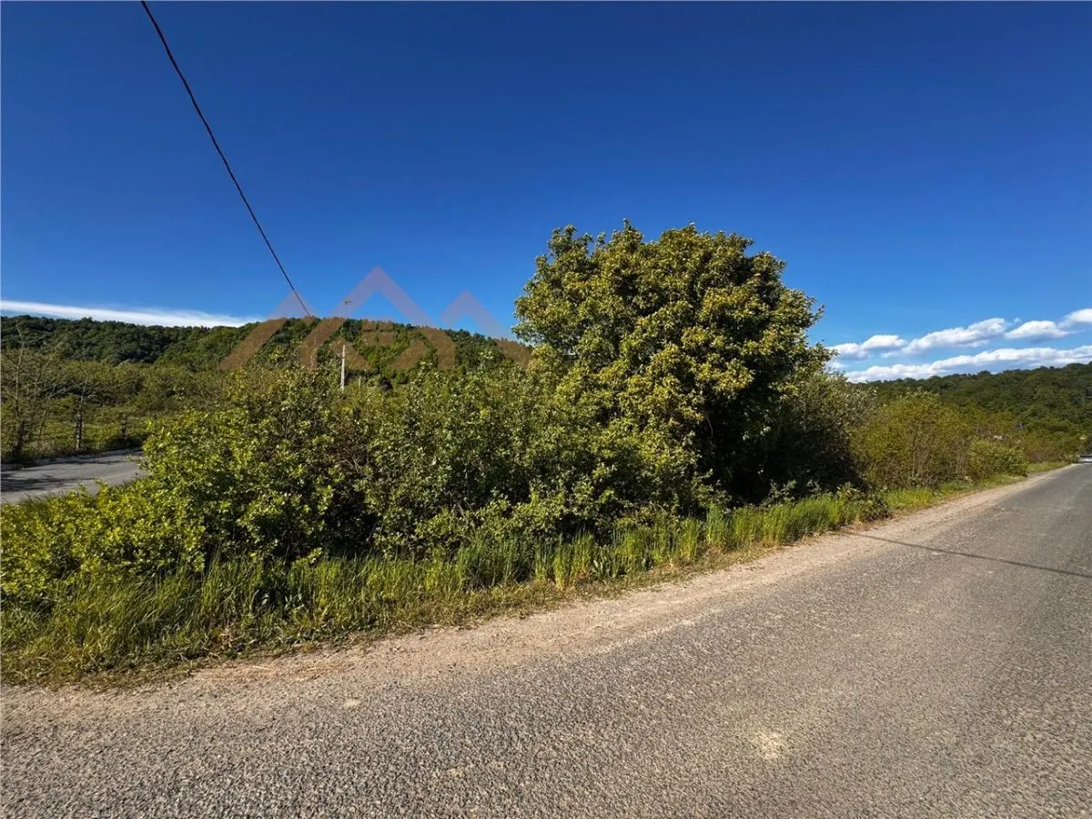 Teren intravilan, zona parc Hosteze, Tautii Magheraus - foto 1