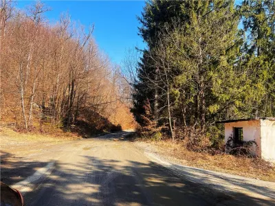 1,10 ha teren intravilan in Baita - foto 4