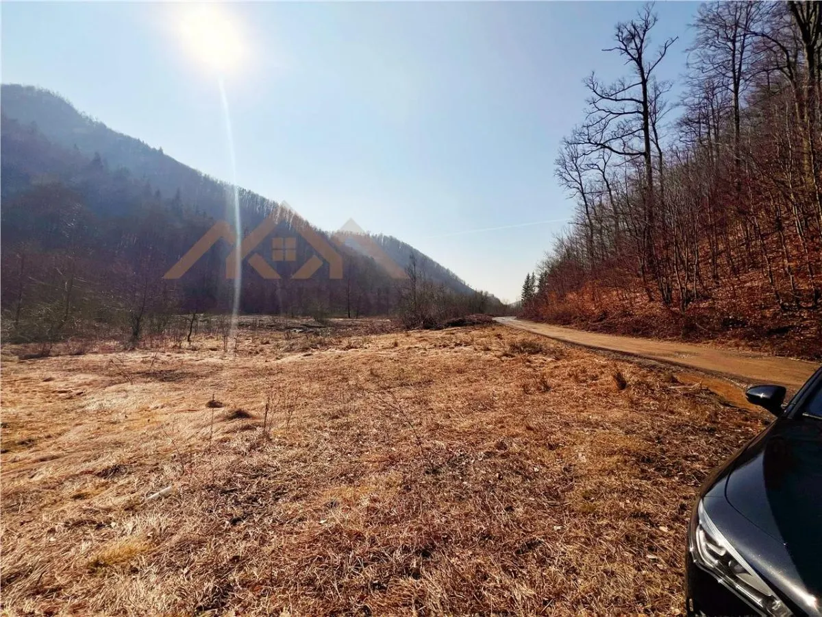 1,10 ha teren intravilan in Baita - foto 7