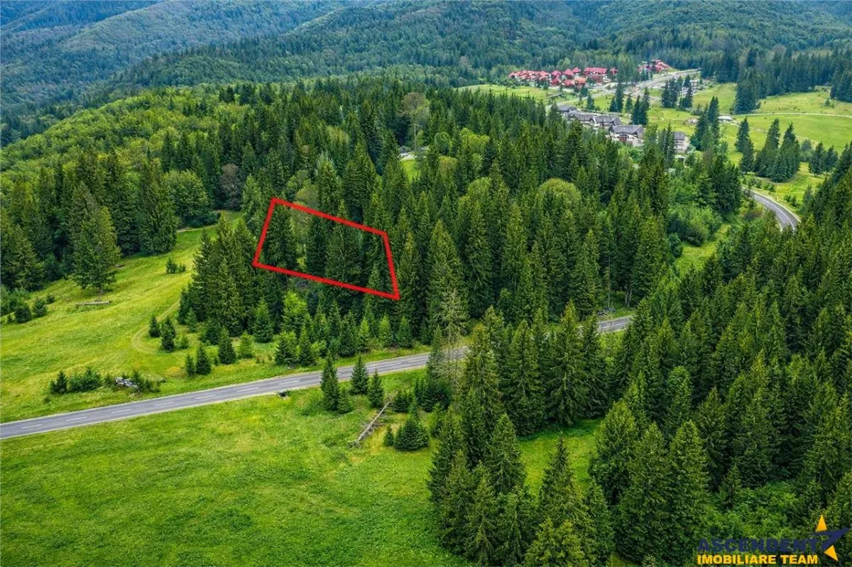 Teren cu potential:1.000 mp,proiect turistic/rezidential,Poiana Brasov - foto 1