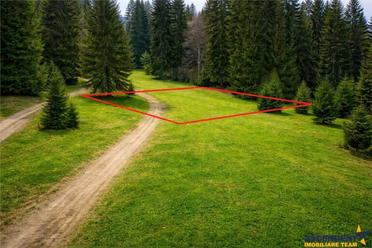 Teren cu potential:1.000 mp,proiect turistic/rezidential,Poiana Brasov - foto 3