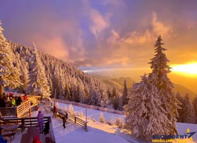 Film! Resedinta eleganta, accesorizata, in frumoasa statiune Poiana Brasov. - Brasov