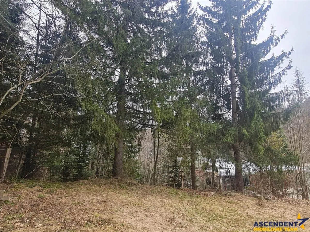 Vila multifunctionala in Predeal - oportunitate  resedinta si/sau afacere - foto 1