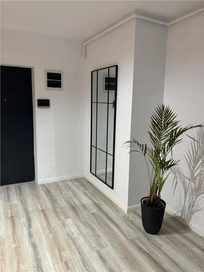 2 camere decomandate, lux - foto 6
