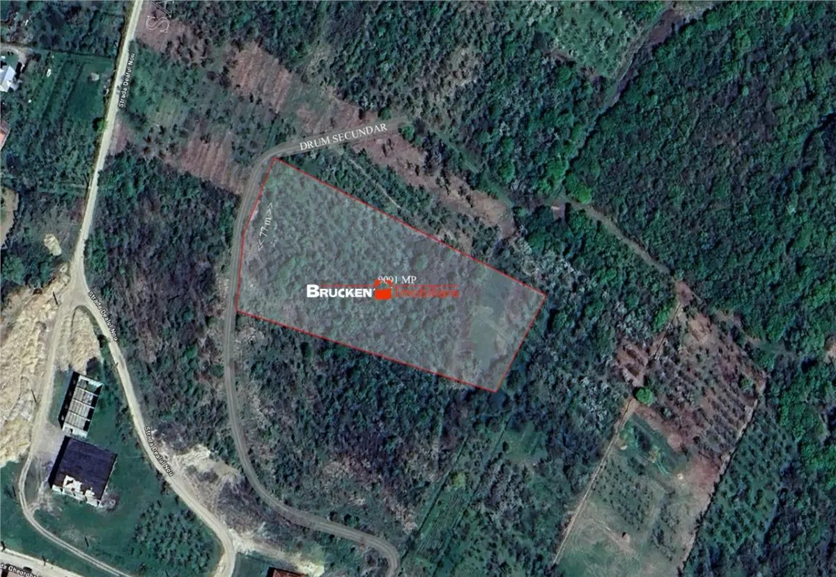 Teren intravilan de vanzare – 9.091 mp | Front 77 ml | Acces din Gh. Doja - foto 1