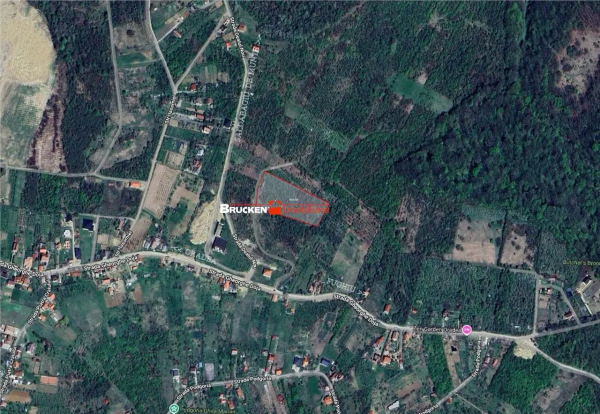 Teren intravilan de vanzare – 9.091 mp | Front 77 ml | Acces din Gh. Doja - foto 2