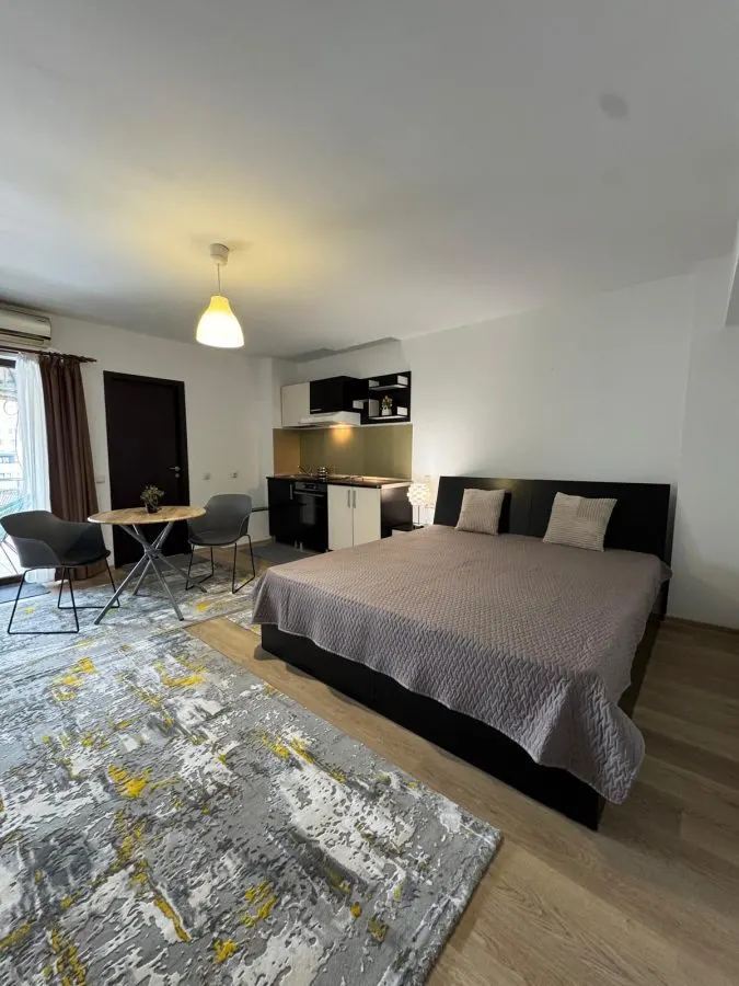 Apartament cu 1 camera mobilat - lângă facultăţi - Tudor V. - 390EUR - foto 1