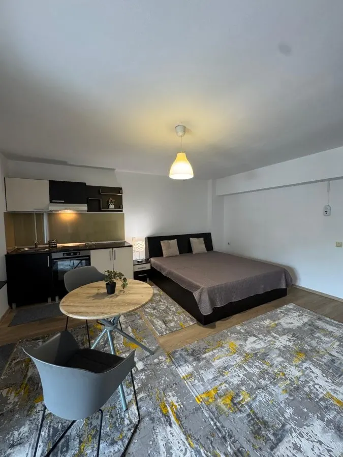Apartament cu 1 camera mobilat - lângă facultăţi - Tudor V. - 390EUR - foto 3