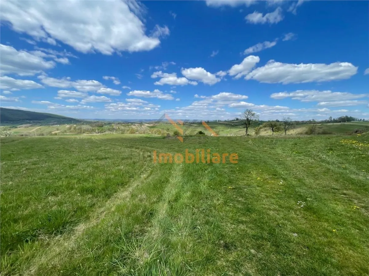 TEREN | BALNACA | 6301MP | BIHOR - foto 4