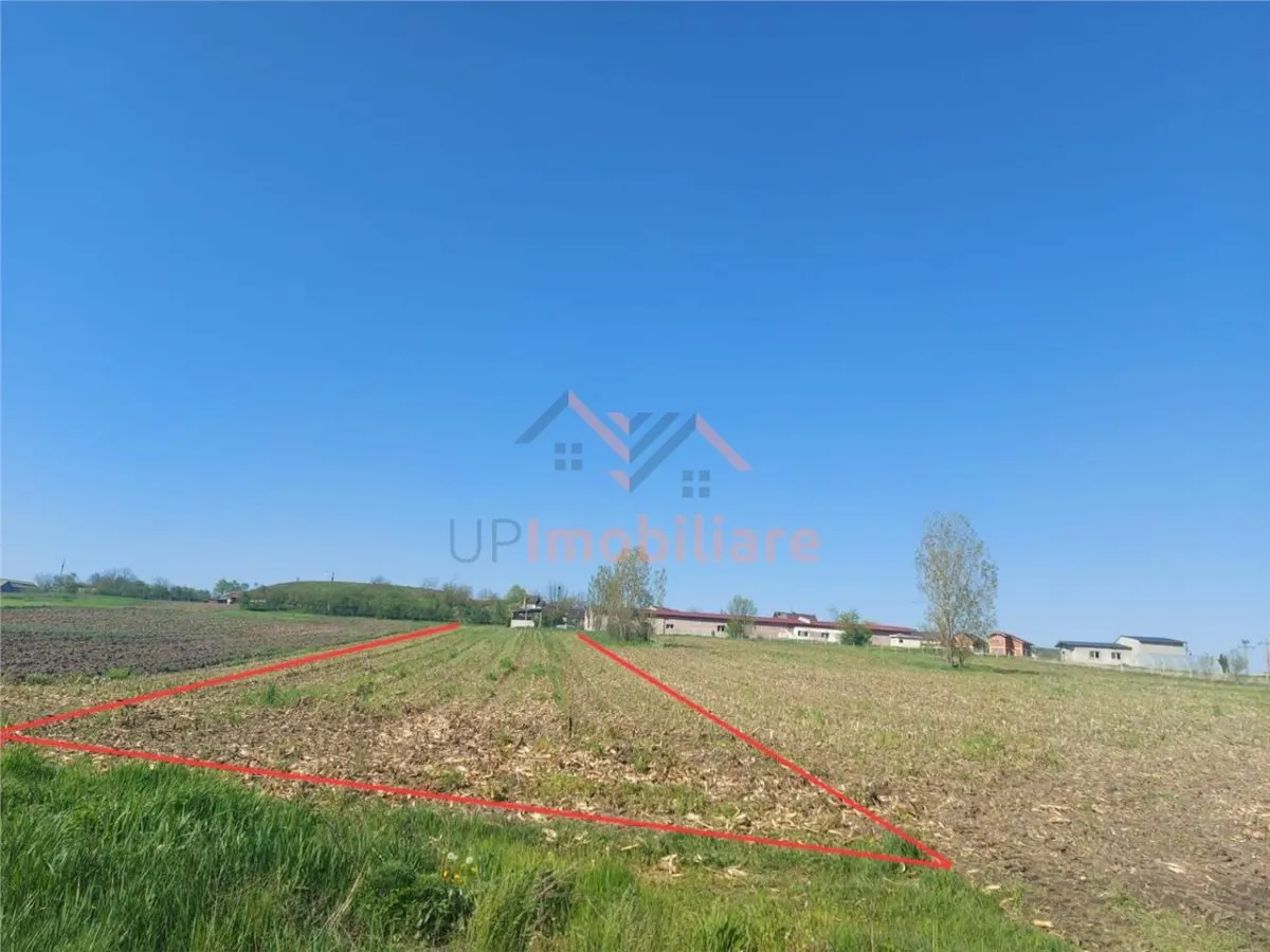TEREN INTRAVILAN | 4300 MP | HIDISELUL DE SUS | BIHOR - foto 2