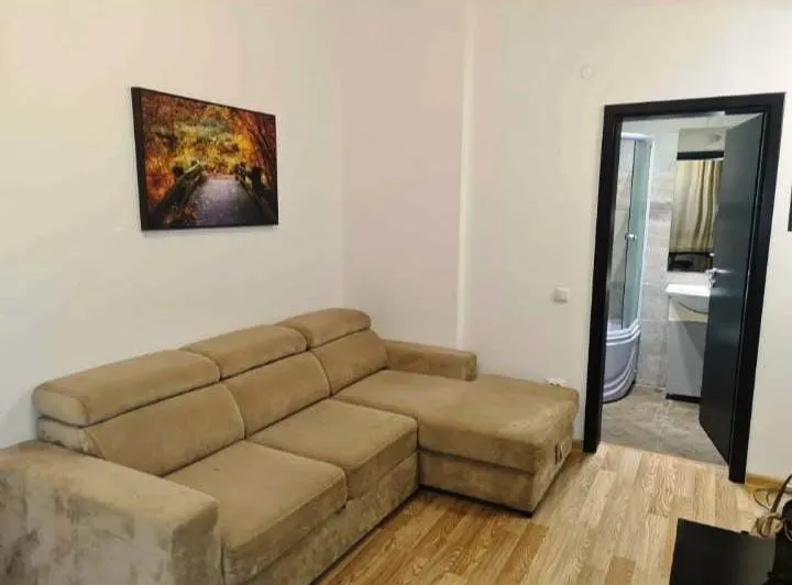 Apartament 2 camere Centru - Palas Mall - Lazar Residence- 450 euro - foto 2