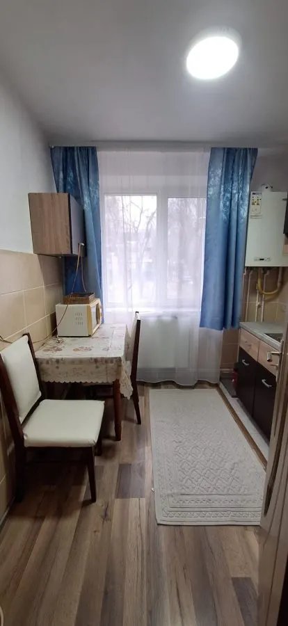 Apartament 2 Camere COPOU - 460 euro - foto 5