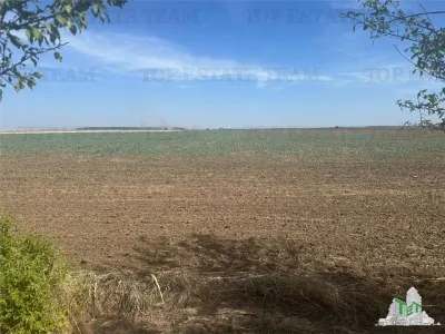 Vanzare teren intravilan construibil, in Branesti-Ilfov, 1330 mp, ideal rezidenta sau investitie - foto 3