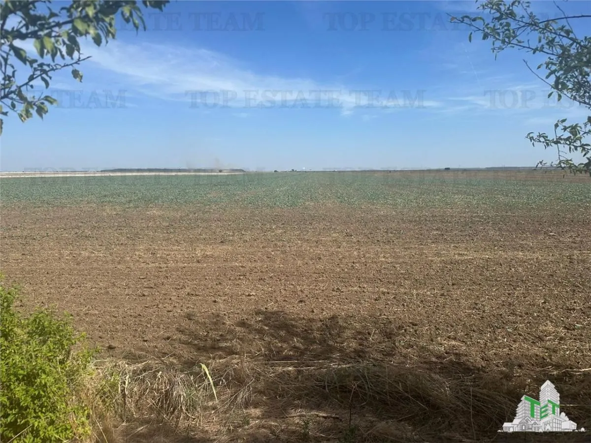 Vanzare teren intravilan construibil, in Branesti-Ilfov, 1330 mp, ideal rezidenta sau investitie - foto 3