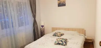 Apartament 2 camere Centrul Civic CEC - foto 3
