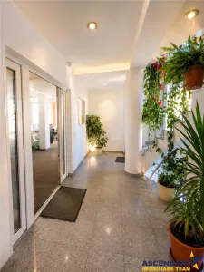 Spatiu, configurat pe trei niveluri, Central, Brasov - foto 2