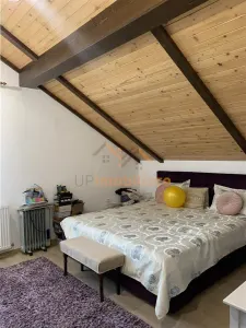 CASA 4 CAMERE I PLAN PARTER + SUBPANTA I CARTIER TINERETULUI - foto 16