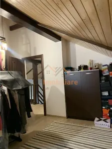 CASA 4 CAMERE I PLAN PARTER + SUBPANTA I CARTIER TINERETULUI - foto 18