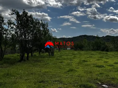 Teren construibil 5.164 mp | Brebu Megiesesc, Prahova | Dublu acces | 145.000 Euro - Brebu Megiesesc