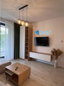 Inchiriere aparatament 2 camere mobilat parter gradina Greenfield - foto 9