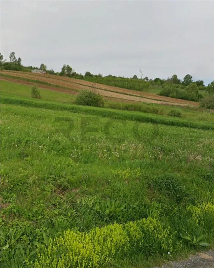 RECO Teren extravilan in Dragesti spre Stracos 24000mp - foto 1