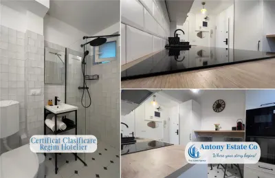 Antony Estate | Vanzare 2 Cam Investitie RH - Ultra Central - foto 11