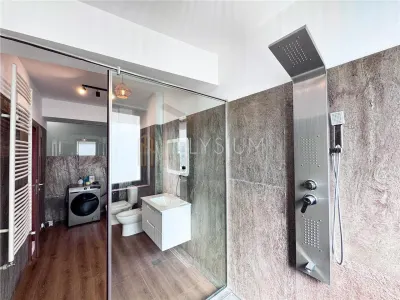 Apartament de inchiriat 2 camere Herastrau - foto 23