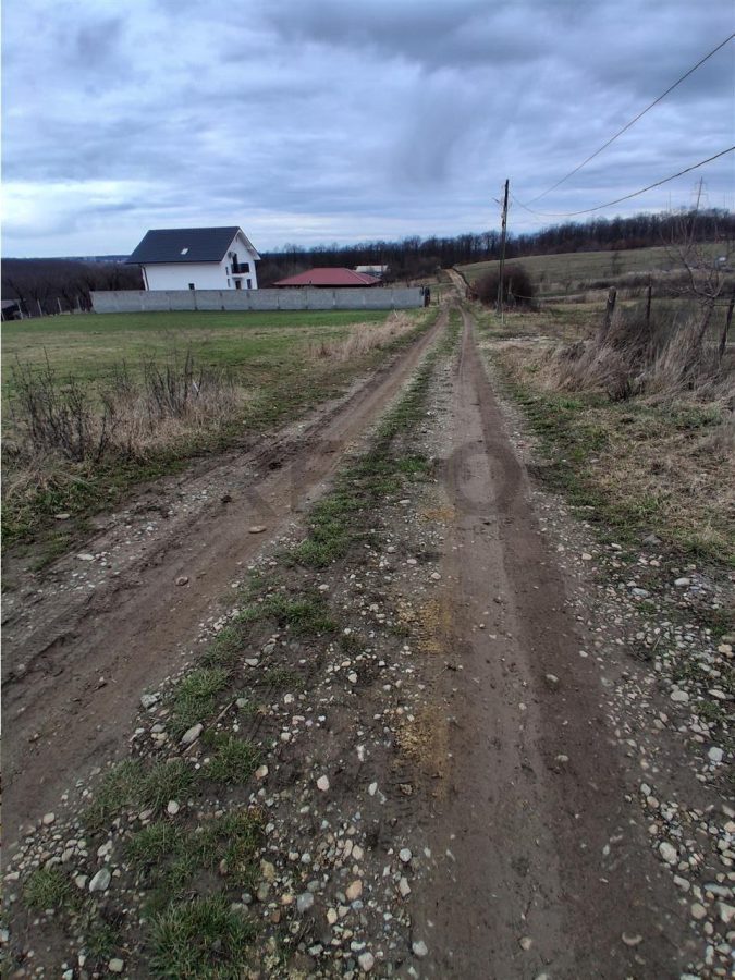 RECO Teren intravilan dublu front stradal- Betfia - Betfia
