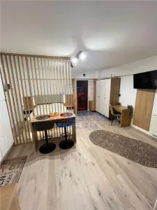 Apartament 1 camera  Palas - Iasi