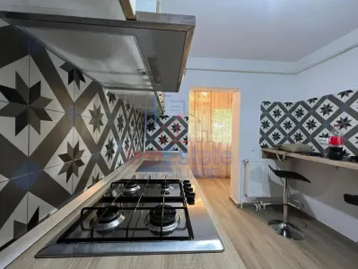 Apartament 1 Camera Tatarasi Sud - foto 5
